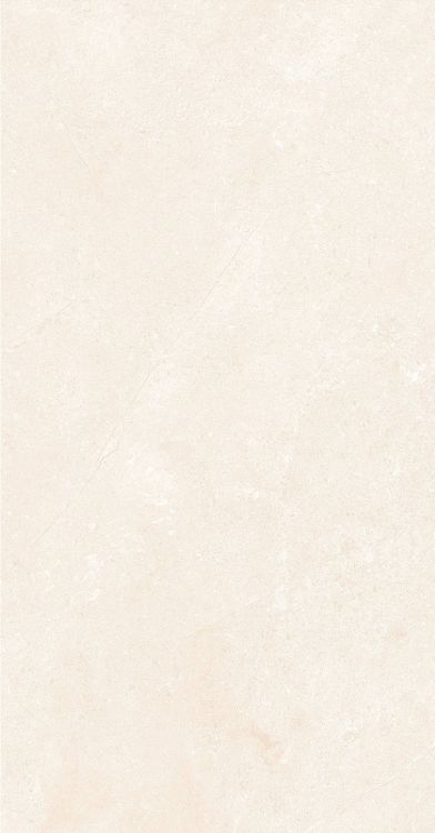 OL Marfil Matte 12 x 24